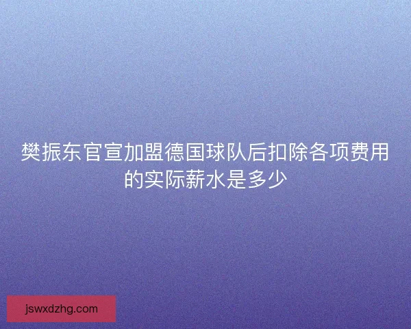 樊振东官宣加盟德国球队后扣除各项费用的实际薪水是多少
