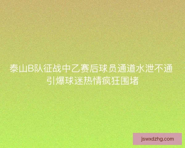 泰山B队征战中乙赛后球员通道水泄不通 引爆球迷热情疯狂围堵 泰山B队征战中乙赛后球员通道水泄不通 引爆球迷热情疯狂围堵